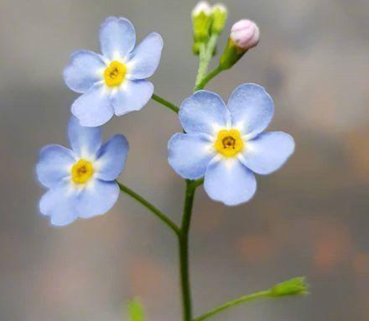 �簲ů�Ļ��̾������� ���Լ��ܹ�Ԫ������