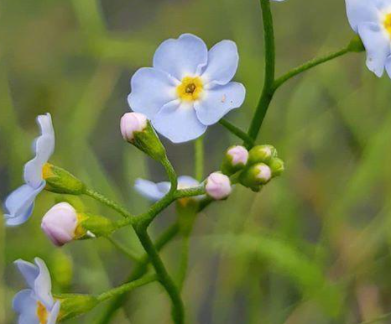 �簲ů�Ļ��̾������� ���Լ��ܹ�Ԫ������