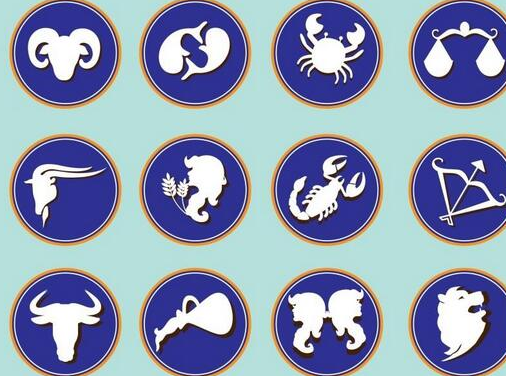 ʮ������������