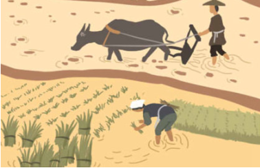 �����ӵ�Ԣ�� ��ʲô������