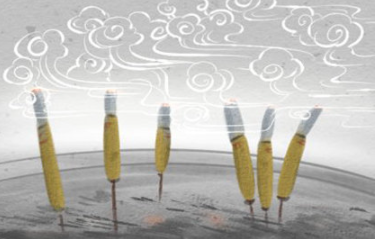 �����ӵ�Ԣ�� ��ʲô������