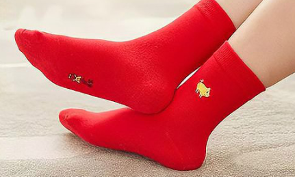 �����ӵ�Ԣ�� ��ʲô������