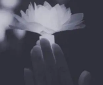 �ڰ�˳����ʲô��˼ ƴ���ͳ���