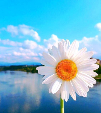 ��־�ľ��Ӿ����������Щ