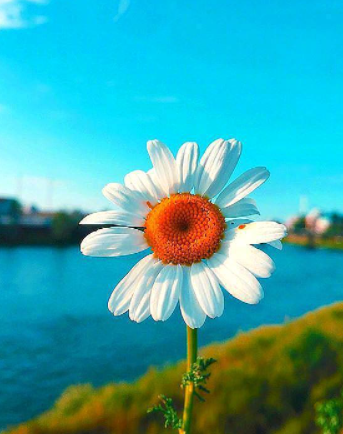 ��־�ľ��Ӿ����������Щ