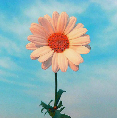 ��־�ľ��Ӿ����������Щ