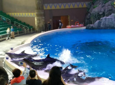 ��ʿ����Ʊ����Ǯһ�� ��Ʊ��Ϊ����