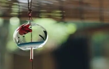 �ʺϷ�����Ȧ�������Ķ̾� �������Լ�