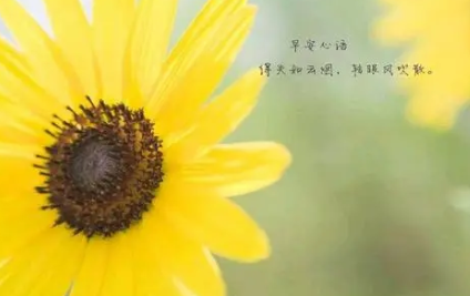 �ʺϷ�����Ȧ�������Ķ̾� �������Լ�