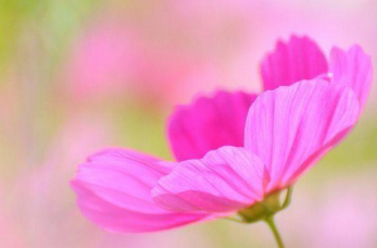 �ʺϷ�����Ȧ�������Ķ̾� �������Լ�