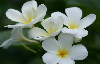 �ʺϷ�����Ȧ�������Ķ̾� �������Լ�