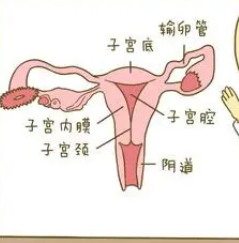 15�ֳ����ĸ��Ƽ��� 6��Ԥ�����Ƽ����ķ���