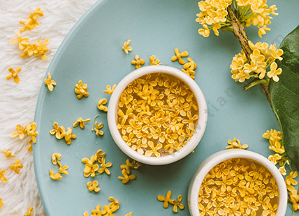 桂花的功效和作用 观赏价值