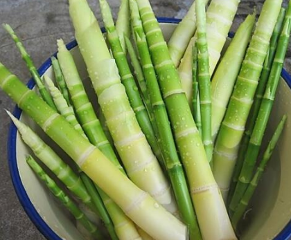 ��������Щ��Ч������