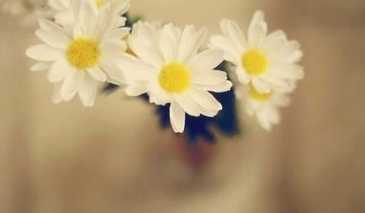 �ʺϷ�����Ȧ�������Ķ̾� �������Լ�