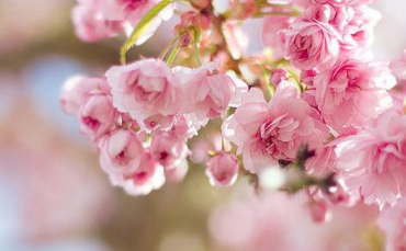 �ʺϷ�����Ȧ�������Ķ̾� �������Լ�