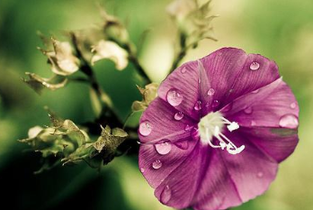 �ʺϷ�����Ȧ�������Ķ̾� �������Լ�