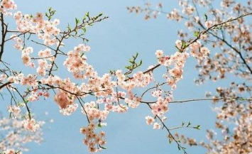 �ʺϷ�����Ȧ�������Ķ̾� �������Լ�