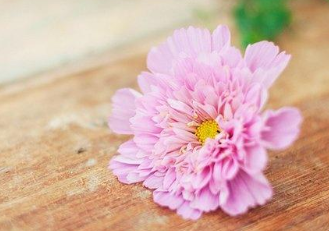 �ʺϷ�����Ȧ�������Ķ̾� �������Լ�