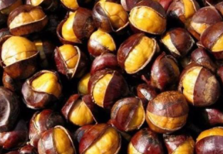 ����Ҫ��ʲô�������ÿ� ����Ӧ��Ҫ��������