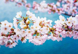 �ʺϷ�����Ȧ�������Ķ̾� �������Լ�