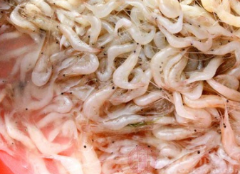 ����Ҫ��ʲô�������ÿ� ����Ӧ��Ҫ��������