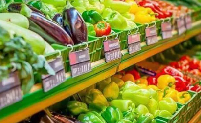 什么叫做生活必需品 基本满足人们生活需求的商品