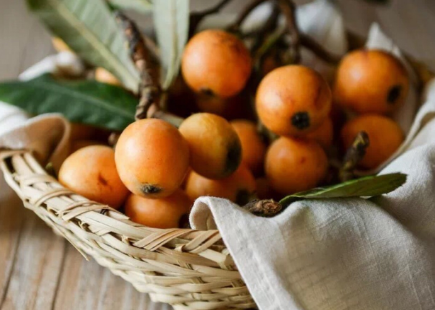 ���ù���ҩ�ü�ֵ�빦Ч���� ���˹���Ӫ����ֵ