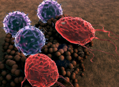 ��ϸ��ƫ������ô���� ��������