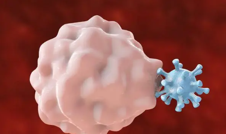 ��ϸ��ƫ������ô���� ��������