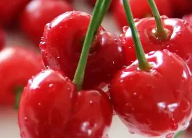 ӣ�ҵĹ�Ч�����ü�Ӫ����ֵ