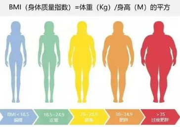 bmi计算公式及标准 bmi数值对我们真的有那么重要吗