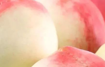 ��ˮ��Ԣ�� ˮ����ͳ�Ĺ���