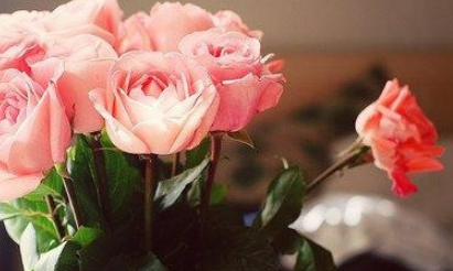 成长感言50字 由衷的感叹时间过的真快