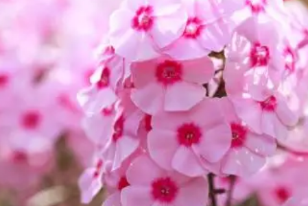 成长感言50字 由衷的感叹时间过的真快