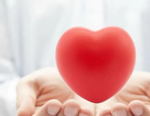 ��������֪ʶ�������� ʲô����������