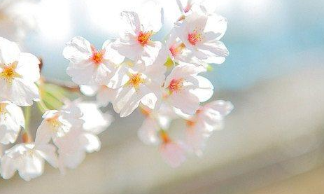 ����һ���˵�ů�ľ����黰 �ر�����һ���˶Է��᲻��֪��