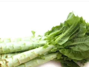 ݫ���Ӫ����ֵ������ �־��ú�Ҷ������