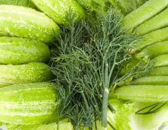 ݫ���Ӫ����ֵ������ �־��ú�Ҷ������