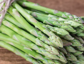 ݫ���Ӫ����ֵ������ �־��ú�Ҷ������