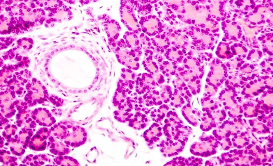 ù�����������µĿ��� ����������