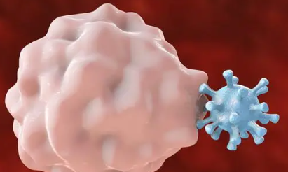 白细胞偏低是什么原因 外界刺激所导致