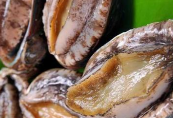 ����Ĺ�Ч������ ��ҽҩ����Ч��������