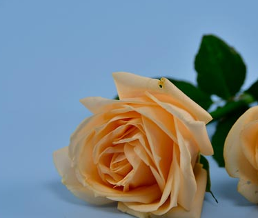 10��27������������ Ҳ�����������