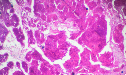 ù�����������µĿ��� ����������