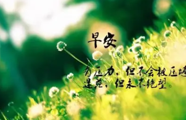 ������簲�̾� ���Լ��ļ����Ͷ����ѵ��ʺ�