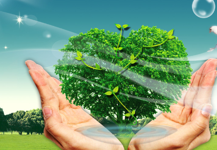 ����α������� �������Ĵ�ʩ5��