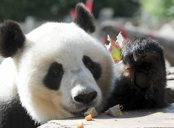 ��è���˰��� ����è������