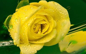 ��õ�����ʲôԢ�� �����ĺ�����ʧȥ�ĸ���