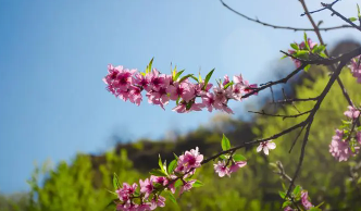 ������д�����ʫ�� ʫ���������������